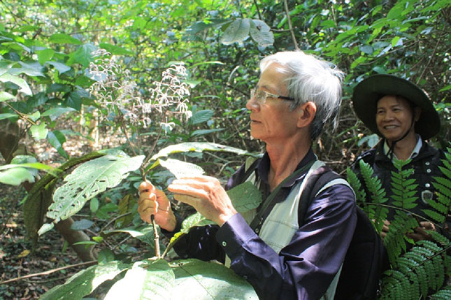 Không có ảnh